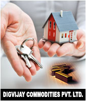 Digvijay Commodities Pvt. Ltd.